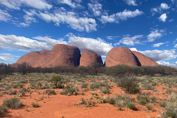 Cool Chemistry Outback 2