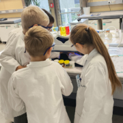 Junior-Experiment-Chemie mit den 5 Sinnen erleben