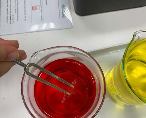 Junior-Experiment-Chemie mit den 5 Sinnen erleben