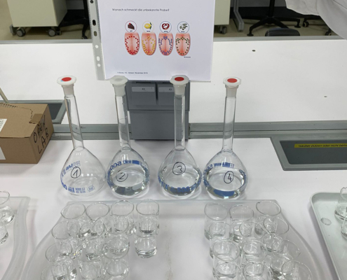 Junior-Experiment-Chemie mit den 5 Sinnen erleben
