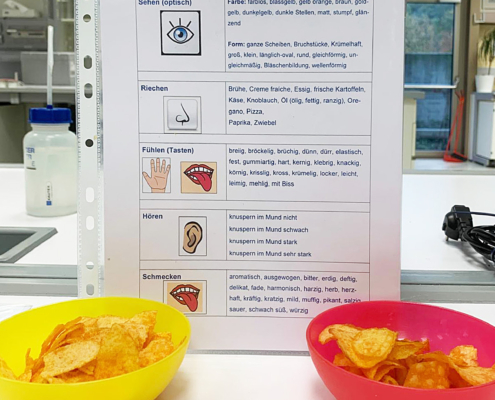 Junior-Experiment-Chemie mit den 5 Sinnen erleben
