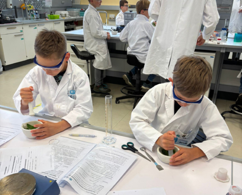 Junior-Experiment-Die Farbenpracht der Natur