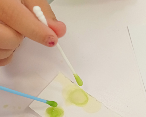 Junior-Experiment-Die Farbenpracht der Natur