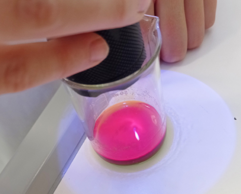 Junior-Experiment-Die Farbenpracht der Natur