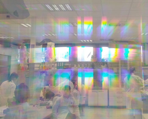 Eine Welt voller Farben