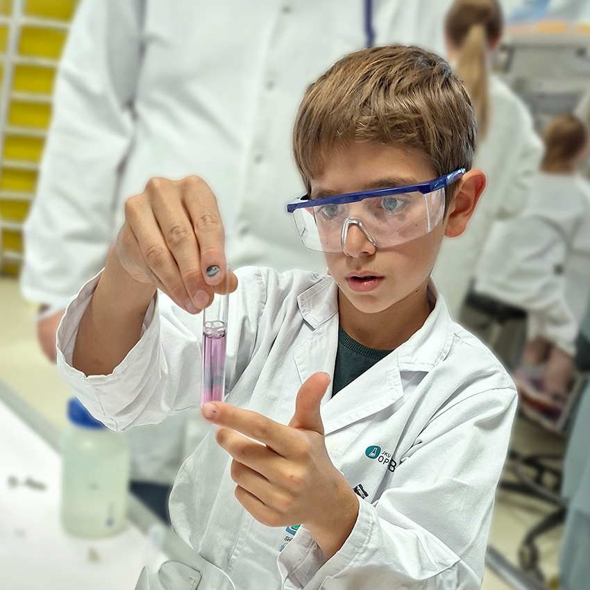 Junior2-Workshop-2026