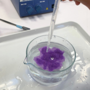 Junior-Experiment-MOLLY im Reich der 4 Elemente