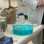 Junior-Experiment-MOLLY im Reich der 4 Elemente