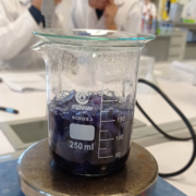 Junior Experiment-Magisches Blaukraut
