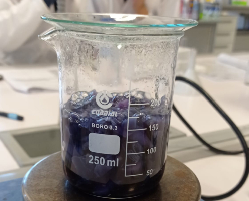 Junior Experiment-Magisches Blaukraut