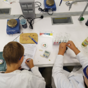 Junior Experiment-Magisches Blaukraut