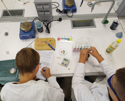 Junior Experiment-Magisches Blaukraut