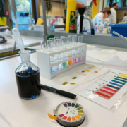 Junior Experiment-Magisches Blaukraut