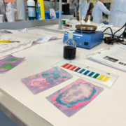 Junior Experiment-Magisches Blaukraut