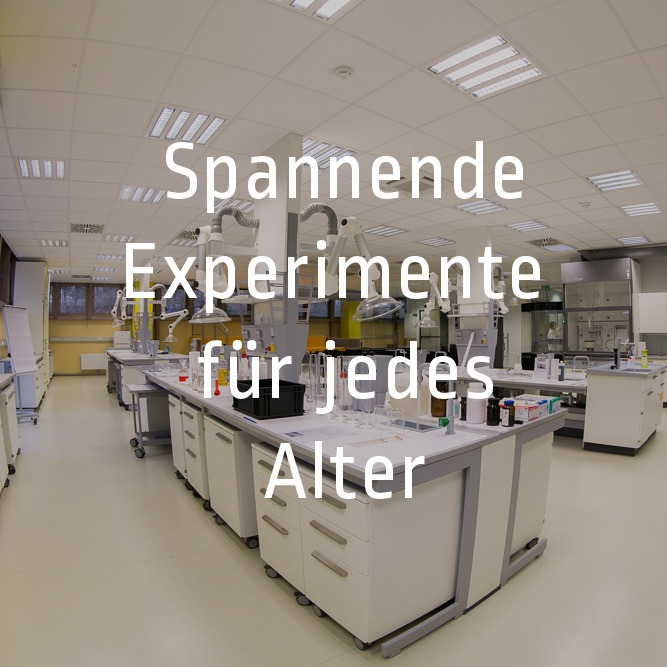 Spannende Experimente für jedes Alter= Panorama-Übersicht Open Lab