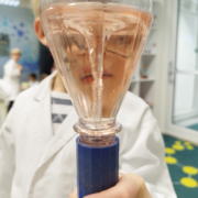 Junior-Experiment-Wasser sonst nix