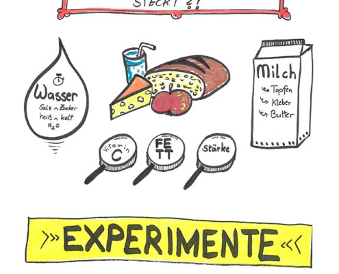 Junior-Experiment-Was steckt alles in der Jause 01