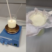 Junior-Experiment-Was steckt alles in der Jause 02