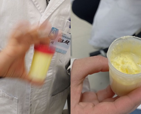 Junior-Experiment-Was steckt alles in der Jause 05