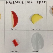 Junior-Experiment-Was steckt alles in der Jause 06