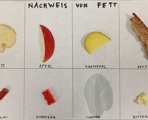 Junior-Experiment-Was steckt alles in der Jause 06