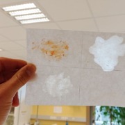 Junior-Experiment-Was steckt alles in der Jause 07