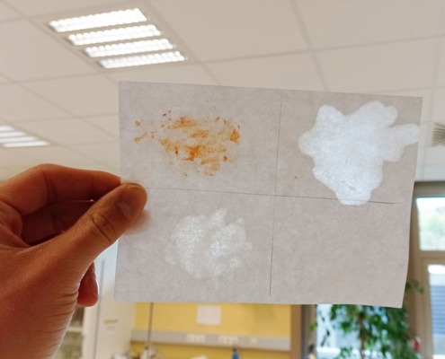 Junior-Experiment-Was steckt alles in der Jause 07