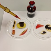 Junior-Experiment-Was steckt alles in der Jause 10