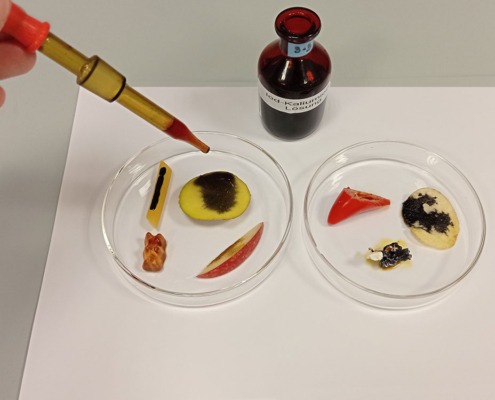 Junior-Experiment-Was steckt alles in der Jause 10