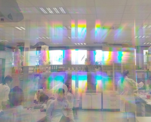 Junior-Experiment-Eine Welt voller Farben 11
