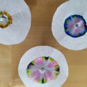 Junior-Experiment-Eine Welt voller Farben 04