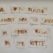 Junior-Experiment-Eine Welt voller Farben 10
