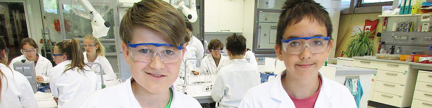 Anmeldung Banner 01