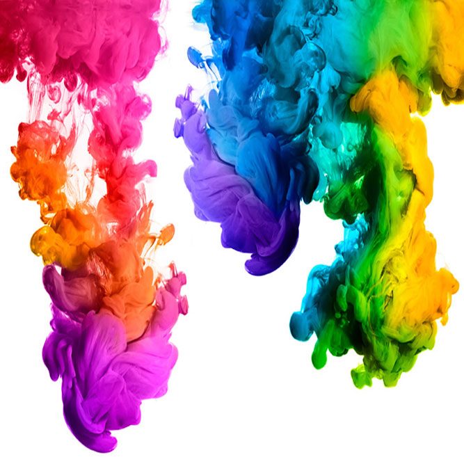 Junior - Eine Welt voller Farben (2. Schulstufe | 3. Schulstufe | 4. Schulstufe)